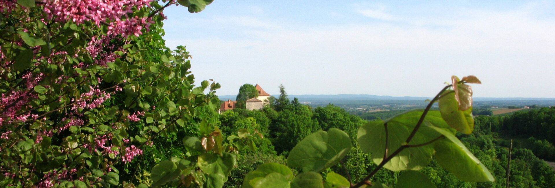 Petites annonces de Belfort du Quercy